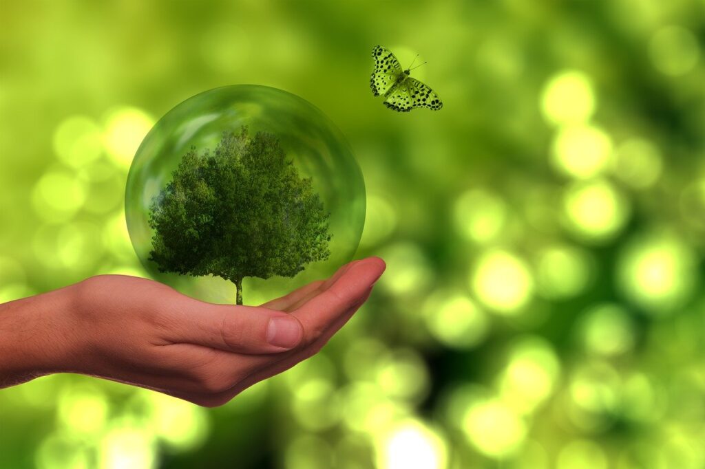 <h1>Nachhaltige Technologie: Erkundung umweltfreundlicher Innovationen für eine grünere Zukunft</h1>
